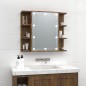 vidaXL Mueble con espejo y luces LED roble marrón 70x16,5x60 cm vidaXL Mueble con espejo y luces LED roble marrón 70x16,5x60 cm