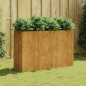 vidaXL Jardinera acero corten 120x40x80 cm vidaXL Jardinera acero corten 120x40x80 cm