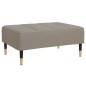 vidaXL Reposapiés de terciopelo gris claro 78x56x32 cm vidaXL Reposapiés de terciopelo gris claro 78x56x32 cm