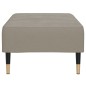 vidaXL Reposapiés de terciopelo gris claro 78x56x32 cm vidaXL Reposapiés de terciopelo gris claro 78x56x32 cm