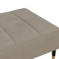 vidaXL Reposapiés de terciopelo gris claro 78x56x32 cm vidaXL Reposapiés de terciopelo gris claro 78x56x32 cm