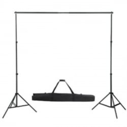 vidaXL Sistema de soporte de telón fondo 300x300 cm verde