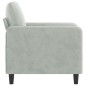 vidaXL Sillón de terciopelo gris claro 60 cm vidaXL Sillón de terciopelo gris claro 60 cm