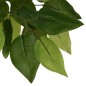 vidaXL Ficus artificial con 378 hojas verde 80 cm vidaXL Ficus artificial con 378 hojas verde 80 cm