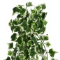 vidaXL Plantas artificiales colgantes 12 uds verde y blanco 90 cm vidaXL Plantas artificiales colgantes 12 uds verde y blanco 90 cm