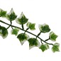 vidaXL Plantas artificiales colgantes 12 uds verde y blanco 90 cm vidaXL Plantas artificiales colgantes 12 uds verde y blanco 90 cm