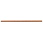 vidaXL Estante de pared madera maciza de haya 100x20x2,5 cm
