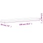 vidaXL Estante de pared madera maciza de haya 100x20x2,5 cm