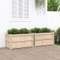 vidaXL Jardineras de exterior 2 unidades madera maciza de pino vidaXL Jardineras de exterior 2 unidades madera maciza de pino