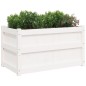 vidaXL Jardineras de exterior 2 unidades madera maciza de pino blanco vidaXL Jardineras de exterior 2 unidades madera maciza de pino blanco