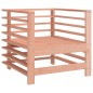vidaXL Sillones de jardín 2 unidades madera maciza Douglas vidaXL Sillones de jardín 2 unidades madera maciza Douglas