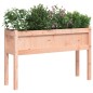 vidaXL Jardineras con patas 2 uds madera maciza de abeto Douglas vidaXL Jardineras con patas 2 uds madera maciza de abeto Douglas