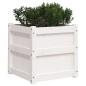 vidaXL Jardineras de exterior 2 unidades madera maciza de pino blanco vidaXL Jardineras de exterior 2 unidades madera maciza de pino blanco