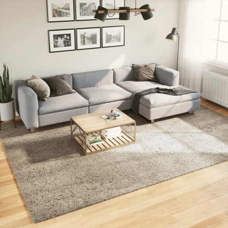 vidaXL Alfombra pelo largo aspecto brillante ISTAN beige 240x340 cm