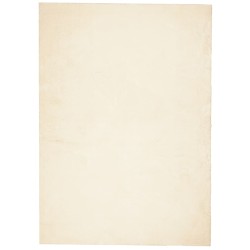 vidaXL Alfombra de pelo corto suave lavable HUARTE crema 200x280 cm