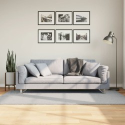 vidaXL Alfombra de pelo corto suave lavable HUARTE gris 100x200 cm