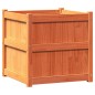 vidaXL Jardineras de exterior 2 uds madera maciza de pino marrón cera vidaXL Jardineras de exterior 2 uds madera maciza de pino marrón cera