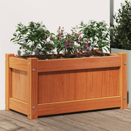 vidaXL Jardinera exterior madera maciza pino marrón cera 60x31x31 cm