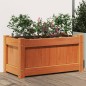 vidaXL Jardinera exterior madera maciza pino marrón cera 60x31x31 cm vidaXL Jardinera exterior madera maciza pino marrón cera 60x31x31 cm