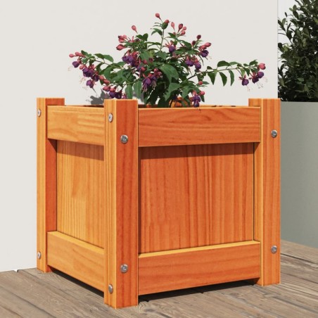 vidaXL Jardinera exterior madera maciza pino marrón cera 31x31x31 cm