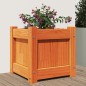 vidaXL Jardinera exterior madera maciza pino marrón cera 31x31x31 cm vidaXL Jardinera exterior madera maciza pino marrón cera 31x31x31 cm