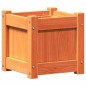 vidaXL Jardinera exterior madera maciza pino marrón cera 31x31x31 cm vidaXL Jardinera exterior madera maciza pino marrón cera 31x31x31 cm