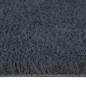 vidaXL Felpudo de fibra de coco gris oscuro 40x60 cm vidaXL Felpudo de fibra de coco gris oscuro 40x60 cm