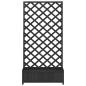 vidaXL Jardinera con enrejado madera maciza de abeto negro vidaXL Jardinera con enrejado madera maciza de abeto negro