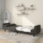 vidaXL Sofá cama de 2 plazas con dos almohadas terciopelo gris oscuro vidaXL Sofá cama de 2 plazas con dos almohadas terciopelo gris oscuro