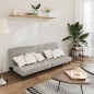 vidaXL Sofá cama de 2 plazas terciopelo gris claro vidaXL Sofá cama de 2 plazas terciopelo gris claro