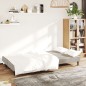 vidaXL Sofá cama de 2 plazas terciopelo gris claro vidaXL Sofá cama de 2 plazas terciopelo gris claro