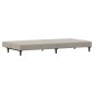 vidaXL Sofá cama de 2 plazas terciopelo gris claro vidaXL Sofá cama de 2 plazas terciopelo gris claro