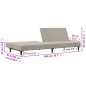 vidaXL Sofá cama de 2 plazas terciopelo gris claro vidaXL Sofá cama de 2 plazas terciopelo gris claro