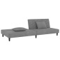vidaXL Sofá cama de 2 plazas con dos almohadas terciopelo gris claro vidaXL Sofá cama de 2 plazas con dos almohadas terciopelo gris claro