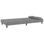 vidaXL Sofá cama de 2 plazas con dos almohadas terciopelo gris claro vidaXL Sofá cama de 2 plazas con dos almohadas terciopelo gris claro