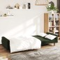 vidaXL Sofá cama de 2 plazas terciopelo verde oscuro vidaXL Sofá cama de 2 plazas terciopelo verde oscuro
