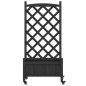 vidaXL Jardinera con enrejado y ruedas madera maciza de abeto negro vidaXL Jardinera con enrejado y ruedas madera maciza de abeto negro