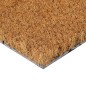 vidaXL Felpudo de fibra de coco copetuda 45x75 cm vidaXL Felpudo de fibra de coco copetuda 45x75 cm