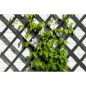 Nature Enrejado de jardín madera gris antracita 50x150 cm Nature Enrejado de jardín madera gris antracita 50x150 cm