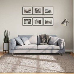 vidaXL Alfombra peluda de pelo largo moderna PAMPLONA beige 200x200 cm