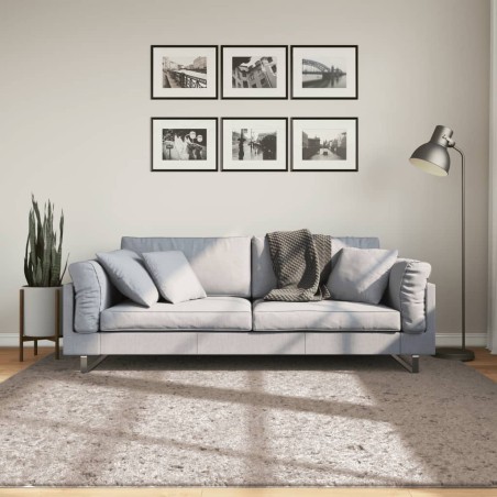 vidaXL Alfombra peluda de pelo largo moderna PAMPLONA beige 200x200 cm