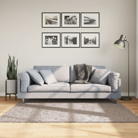 vidaXL Alfombra peluda de pelo largo moderna PAMPLONA beige 160x160 cm