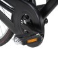 3056791 vidaXL Holland Dutch Bike 28 inch Wheel 57 cm Frame Female (92312+92314)
