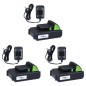 vidaXL Set de herramientas eléctricas de jardín sin cable 4 piezas vidaXL Set de herramientas eléctricas de jardín sin cable 4 piezas