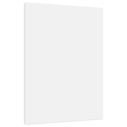 vidaXL Lienzos tensados 12 uds madera maciza de pino y tela blanco
