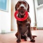 Ferplast Juguete dental para perros Smile rojo grande 20x18x4 cm