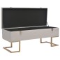 vidaXL Banco con compartimento 105 cm gris de terciopelo vidaXL Banco con compartimento 105 cm gris de terciopelo