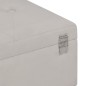 vidaXL Banco con compartimento 105 cm gris de terciopelo vidaXL Banco con compartimento 105 cm gris de terciopelo