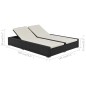 vidaXL Tumbona doble ratán sintético negro vidaXL Tumbona doble ratán sintético negro