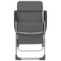 vidaXL Sillas de camping plegables 2 unidades aluminio gris vidaXL Sillas de camping plegables 2 unidades aluminio gris
